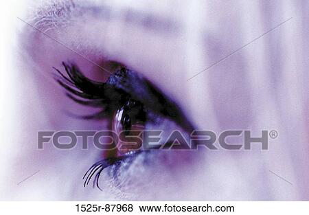View Large Photo Image Stock Photo - . Fotosearch