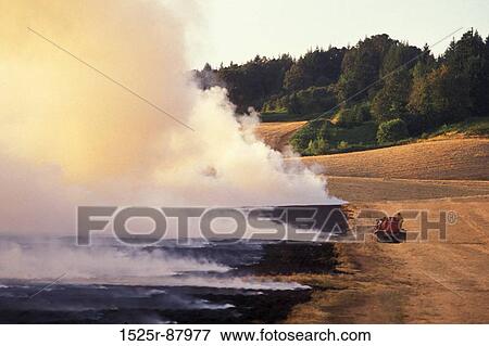 View Large Photo Image Stock Photo - . Fotosearch