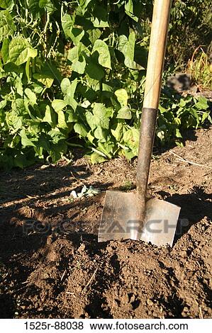 Stock Photo -  . Fotosearch