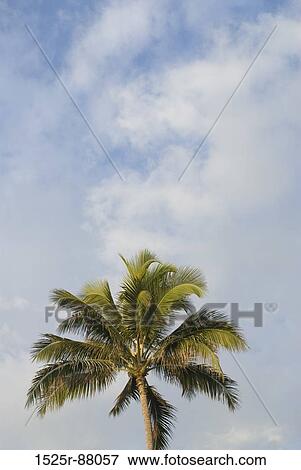 View Large Photo Image Stock Photo - . Fotosearch