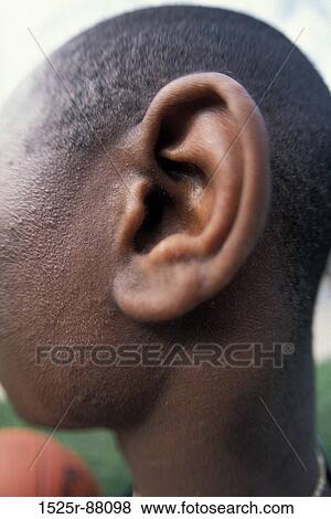 View Large Photo Image Stock Photo - . Fotosearch