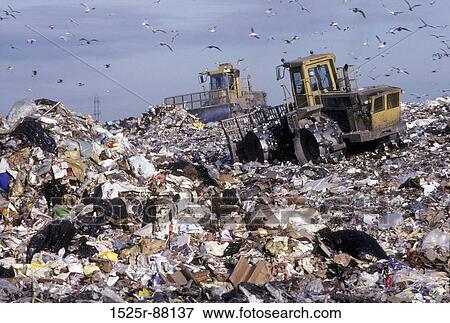 View Large Photo Image Stock Photo - . Fotosearch