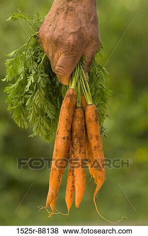 View Large Photo Image Stock Photo - . Fotosearch