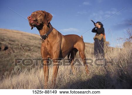 View Large Photo Image Stock Photo - . Fotosearch