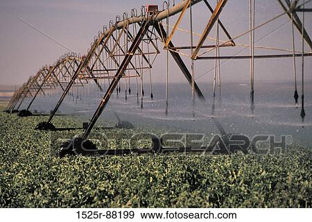 View Large Photo Image Stock Photo - . Fotosearch