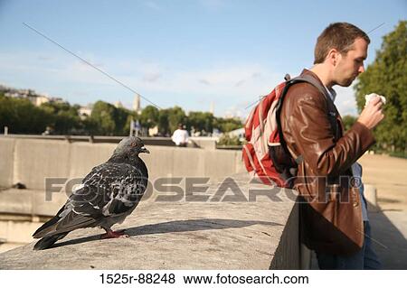 View Large Photo Image Stock Photo - . Fotosearch