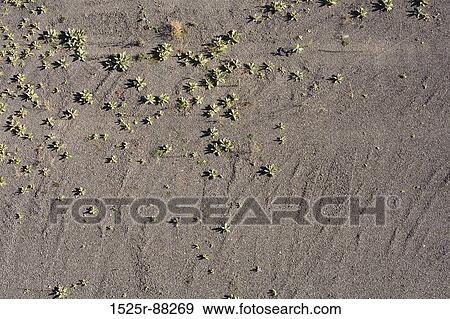 View Large Photo Image Stock Photo -  . Fotosearch