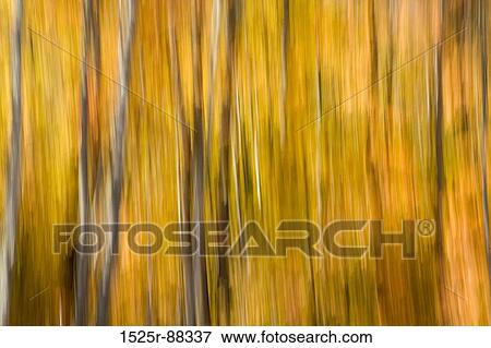 View Large Photo Image Stock Photo - . Fotosearch