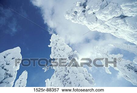 View Large Photo Image Stock Photo - . Fotosearch