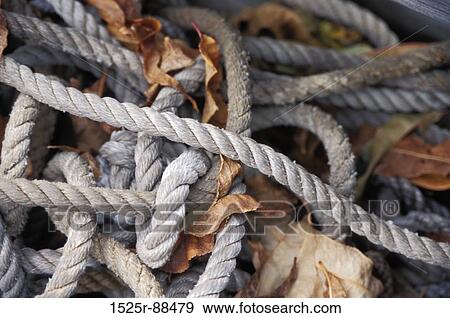 View Large Photo Image Stock Photo - . Fotosearch
