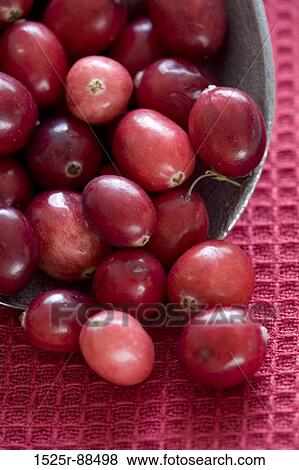 Stock Photo -  . Fotosearch