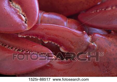 View Large Photo Image Stock Photo - . Fotosearch