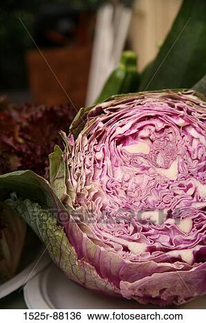View Large Photo Image Stock Photograph - . Fotosearch