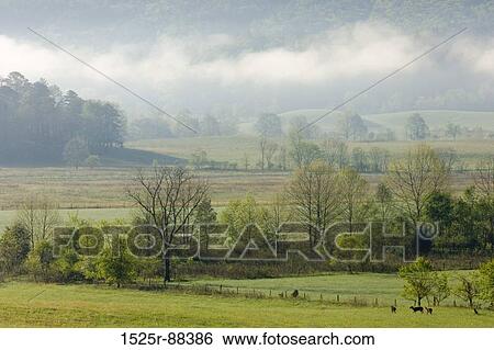 View Large Photo Image Stock Photograph - . Fotosearch