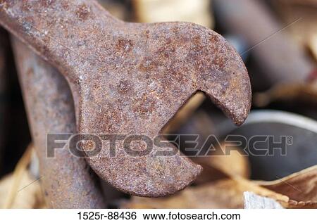 View Large Photo Image Stock Photograph - . Fotosearch