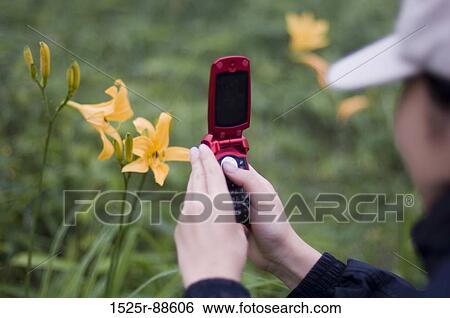View Large Photo Image Stock Photograph - . Fotosearch