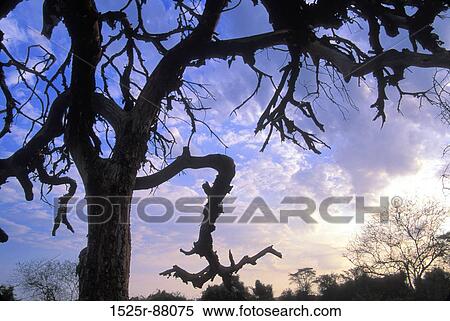 View Large Photo Image Stock Photography - . Fotosearch