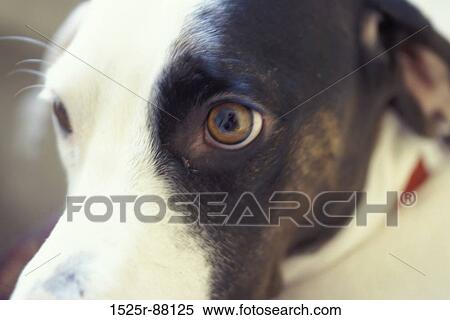 View Large Photo Image Stock Photography - . Fotosearch