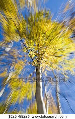 View Large Photo Image Stock Photography - . Fotosearch