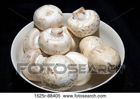 View Large Photo Image Stock Photography - . Fotosearch
