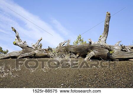 View Large Photo Image Stock Photography - . Fotosearch