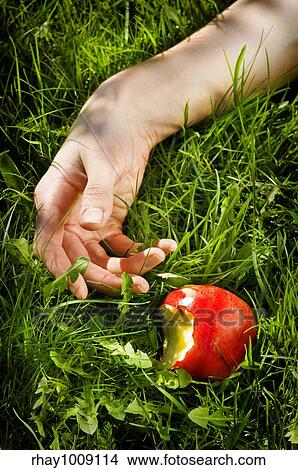 a fairytale about snow white View Large Photo Image Picture - a fairytale about snow white . Fotosearch