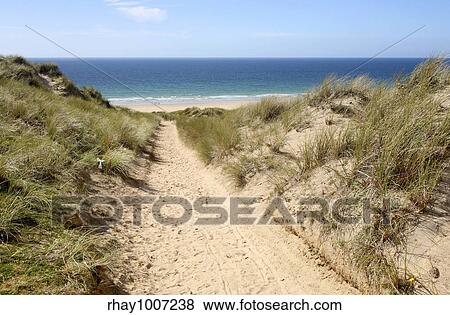 "A path through the sand dunes to the beach. Gwithian Towans, Cornwall, UK" View Large Photo Image Stock Photo - "A path through the sand dunes to the beach. Gwithian Towans, Cornwall, UK". Fotosearch