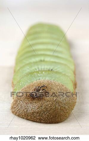 Stock Image - "A sliced kiwi on a wooden table. Fresh, juicy and green! ". Fotosearch
