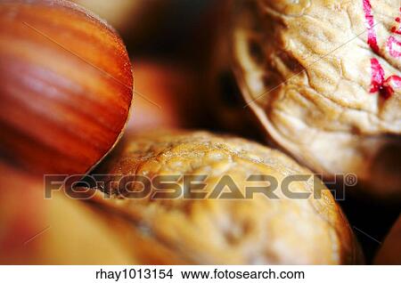 Picture - Abstract macro background. Fotosearch