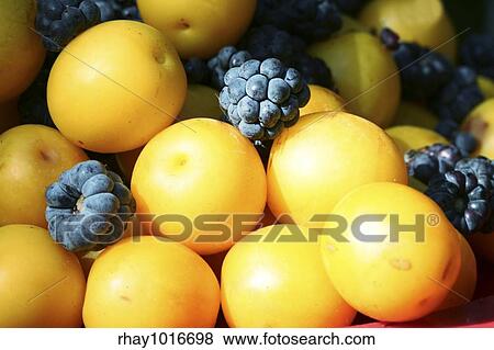 Berry and fruits View Large Photo Image Stock Photo - Berry and fruits. Fotosearch