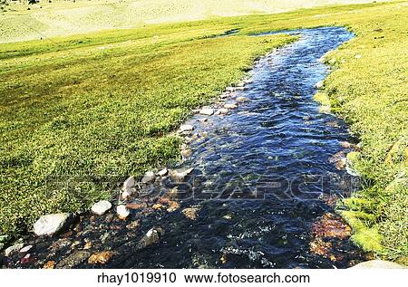Stock Image - Blue creek. Fotosearch