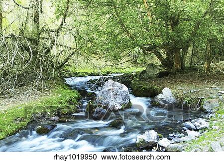 Stock Image - Blue creek. Fotosearch
