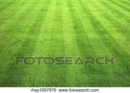 Bowling green grass background. View Large Photo Image Stock Image - Bowling green grass background.. Fotosearch