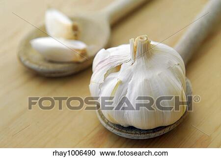 Bulbs and cloves of garlic on wooden cooking spoons View Large Photo Image Stock Image - Bulbs and cloves of garlic on wooden cooking spoons. Fotosearch