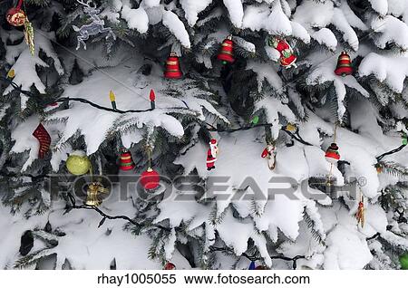 Christmas ornaments hanging on snow covered spruce tree outside View Large Photo Image Stock Photography - Christmas ornaments hanging on snow covered spruce tree outside. Fotosearch