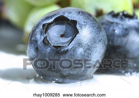 Stock Photography - Closeup of a blueberry. Fotosearch
