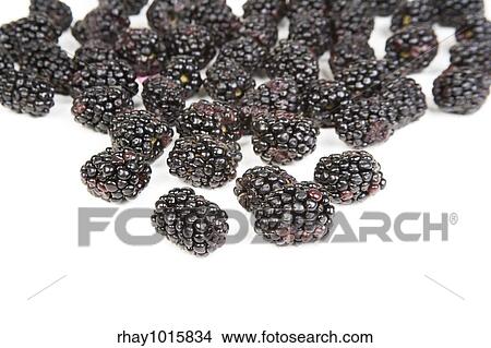 Picture - Closeup of dark purple blackberries on a bright whit background. Fotosearch