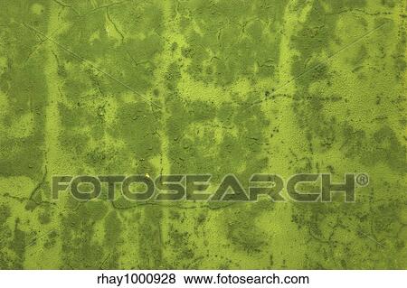 Stock Photo - Colored background made with a old wall. Fotosearch