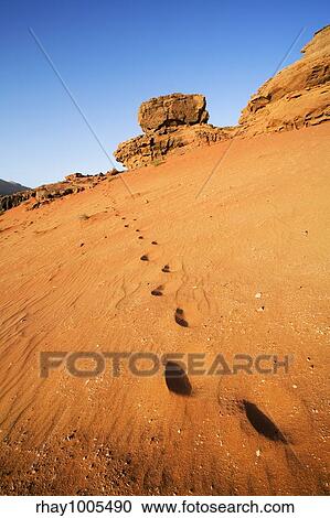 desert tracks View Large Photo Image Stock Image - desert tracks. Fotosearch