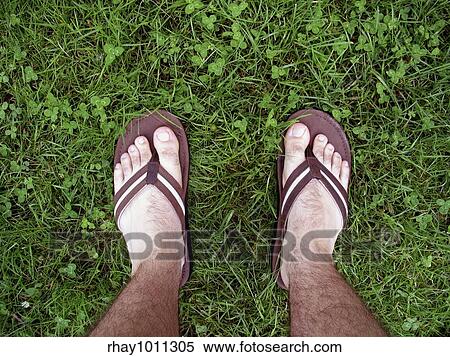 "feet with sandals walking through some fresh, green grass" View Large Photo Image Stock Photography - "feet with sandals walking through some fresh, green grass". Fotosearch