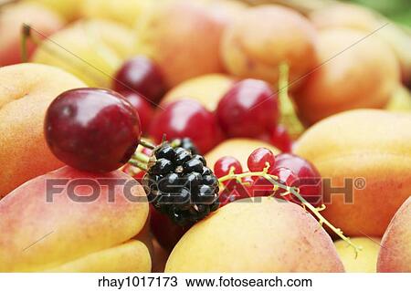 Fruits and berry View Large Photo Image Stock Image - Fruits and berry. Fotosearch