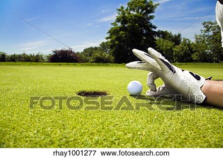 golfer on putting green View Large Photo Image Stock Photo - golfer on putting green. Fotosearch
