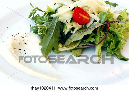 "Green salad with tomatoes, marinated fennel and parsnip puree. " View Large Photo Image Stock Image - "Green salad with tomatoes, marinated fennel and parsnip puree. ". Fotosearch