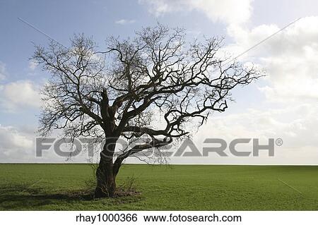 Isolated in the countryside View Large Photo Image Stock Photograph - Isolated in the countryside. Fotosearch