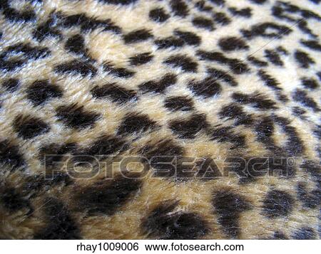 Stock Photograph - leopard print fur texture. Fotosearch