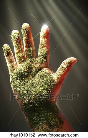 Open hand with green substance against dark background View Large Photo Image Stock Image - Open hand with green substance against dark background. Fotosearch
