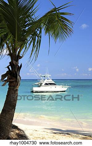 Palm tree and fishing boat at tropical beach View Large Photo Image Stock Image - Palm tree and fishing boat at tropical beach. Fotosearch
