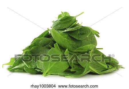 Picture - Pile of spinach isolated on white background. Fotosearch