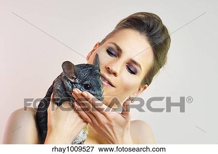 portrait of a young beautiful woman with chinchilla pet View Large Photo Image Stock Photo - portrait of a young beautiful woman with chinchilla pet. Fotosearch