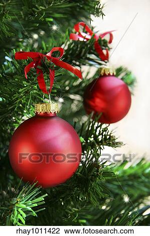 Stock Image - Red balls hanging from christmas tree. Fotosearch